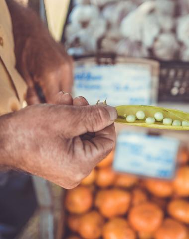 Food & Nutrition Security