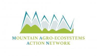 MAAN Logo