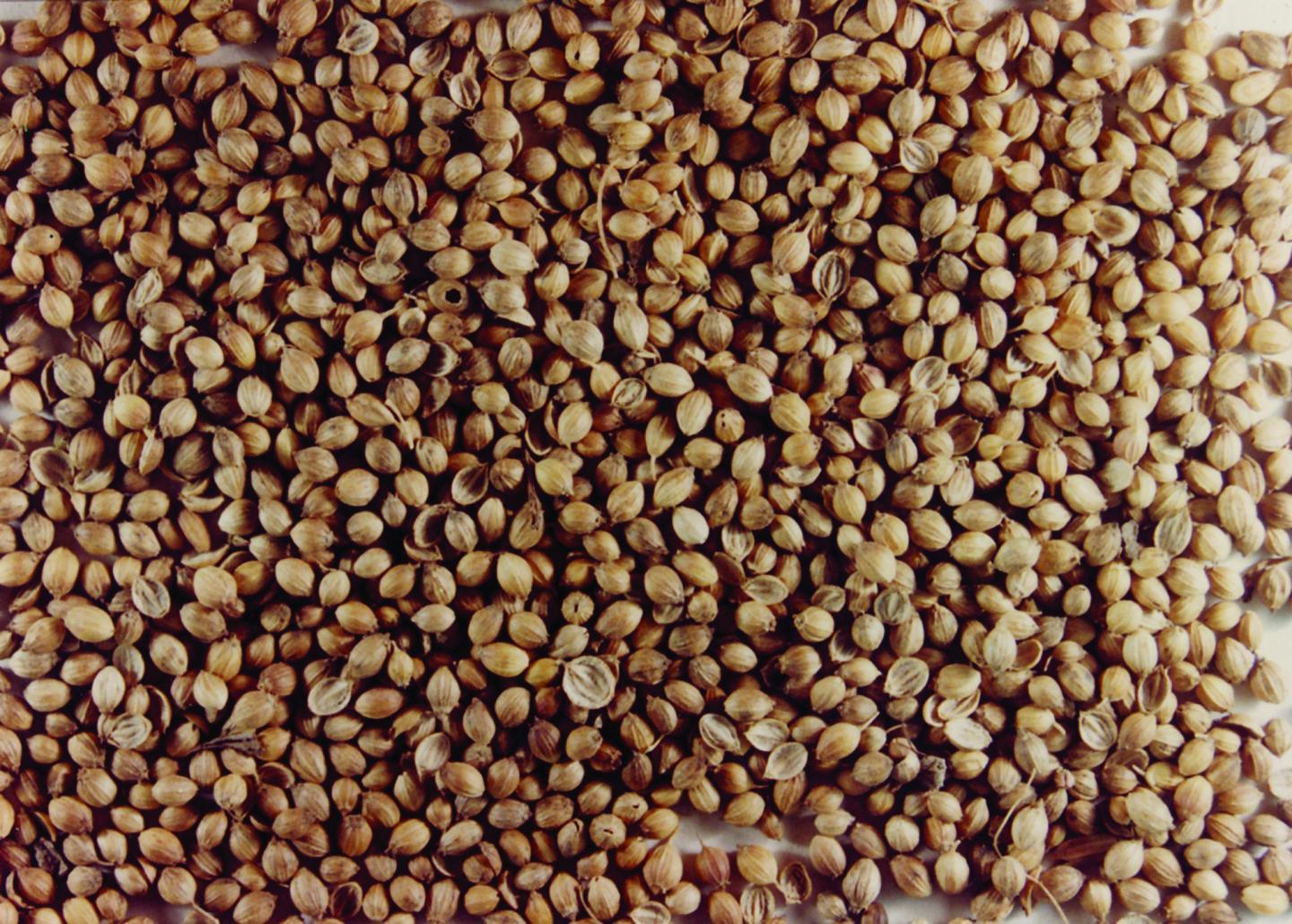Indian State Of Uttarakhand Introduces Country s First Organic 